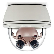 IP видеокамера специальная Arecont Vision AV8365DN-HB 