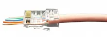 Hyperline PLEZ-8P8C-U-C5-100