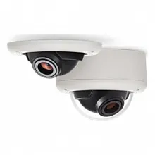 IP видеокамера купольная Arecont Vision AV5245DN-01-D-LG 