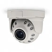 IP видеокамера купольная Arecont Vision AV3246PMIR-SB-LG 