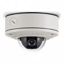 IP видеокамера купольная Arecont Vision Vision AV2456DN-S 