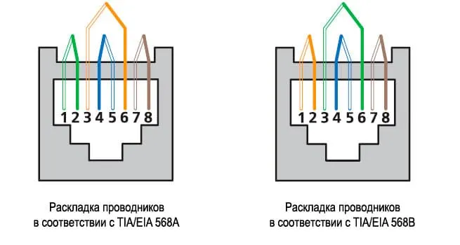 Cabeus 8P8C-SH-C6