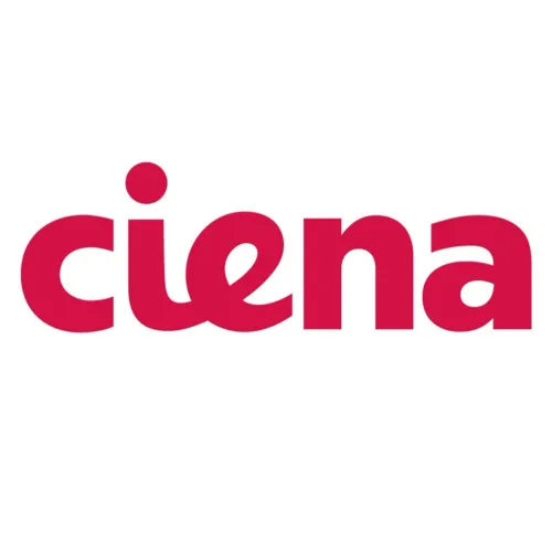 Аксессуар для сетевого оборудования Ciena NT6Q73EAE6 (Кабель)